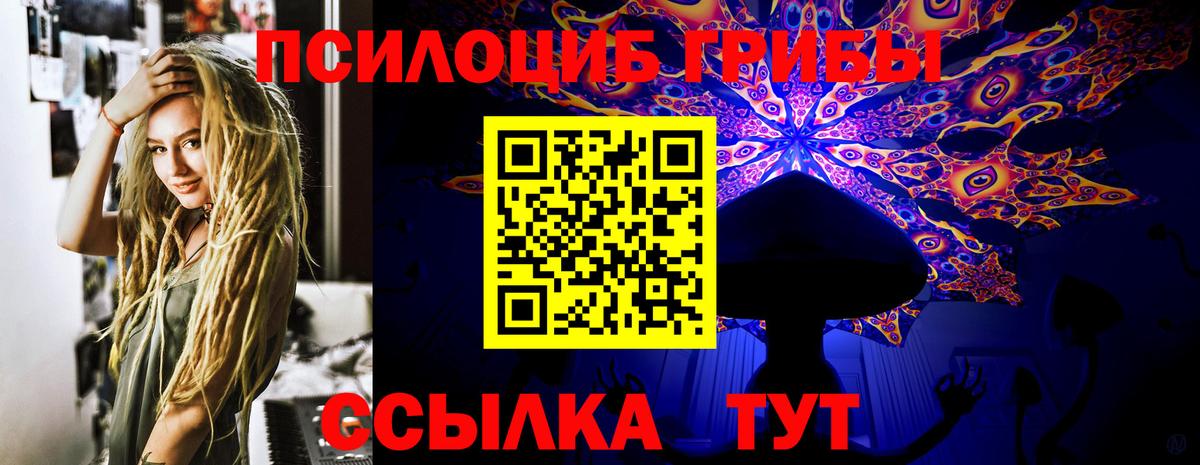Псилоцибиновые грибы Psilocybe Когалым
